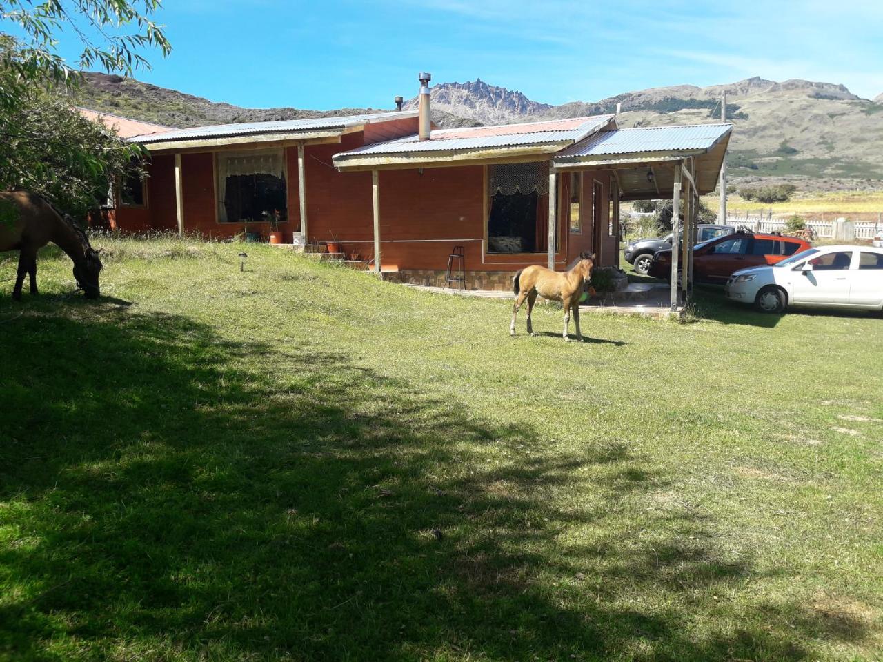 Hospedaje El Juncal Puerto Ingeniero Ibanez Exterior foto